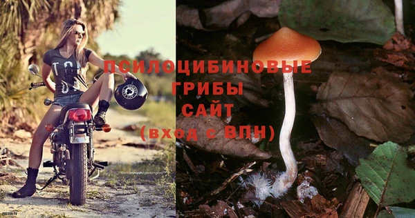 спайс Армянск