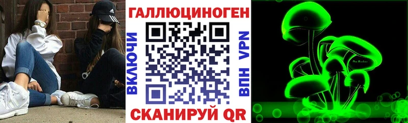 мега маркетплейс  Жердевка  Галлюциногенные грибы Cubensis 