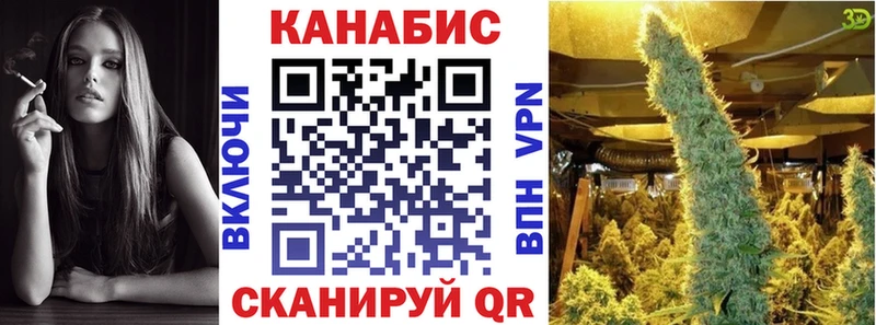 Бошки марихуана MAZAR  darknet телеграм  Жердевка  kraken  